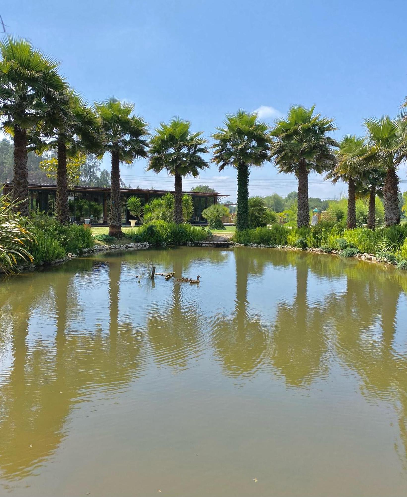 Refugio Do Lago Frossos المظهر الخارجي الصورة